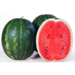 Arbuz Karistan F1 1 tyś. nasion st